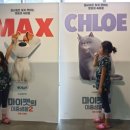 마이펫까까 이미지