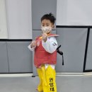 권일 태권도 네이버블로그