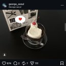 청두곶길 6-3 | [공지] 서울 키티카페, 키티 디저트 파는 곳 모아봄 (!!)