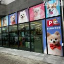 폴리파크 군산점 | 군산 펫샵 구경할 거리 많았던 곳에서 용품 사기 (폴리파크)