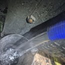 DM모터스 이미지