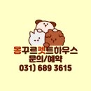 몽꾸르펫트하우스 이미지