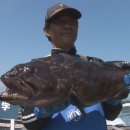 세기산업 이미지