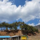 대호농장 이미지