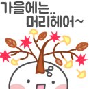 리엔헤어 이미지