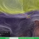 아라파니 이미지