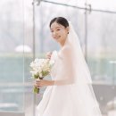 1108 | 🤍스냅1108 본식스냅 계약 후기🤍