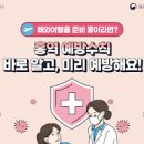 성인 홍역 예방접종 홍역 수두 증세 이미지