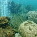 산호수산 이미지