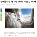 웨스턴펫