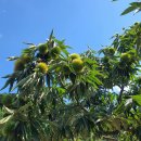 계수농장 이미지