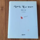 산에는 꽃이피네 이미지