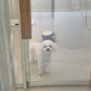 하이댕스 | 여름 끝~! (아님)