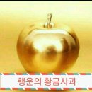 건강 찾는 사람들 이미지