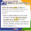 큰꿈영어교실