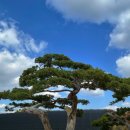 명품펜션갤러리 이미지