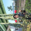 25.11.16(일)석수역 안양천 ㅡ구일역 안내 청춘을님 이미지