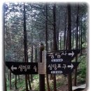 두동편백마을 이미지