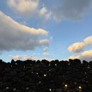 클라우드 애월 이미지