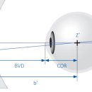 인생안경 이미지