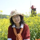 노랑풍차