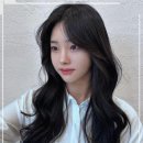 최선 헤어 네이버블로그