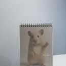 햄찌네 | 정서불안 김햄찌 굿즈 수령 후기, 귀여움 한도초과다.. (달력, 스티커)