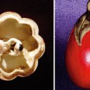 세계성문화박물관 이미지