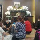 베스트에스지 이미지