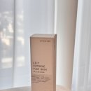 백합향 | GYNOCURE 지노큐어 매일쓰는 여성청결제|안심성분|백합향 후기