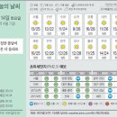 14 이미지