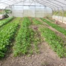 가우농장 이미지