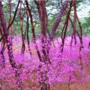 들숨날숨 이미지