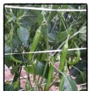 주왕산팬션민박 이미지