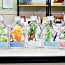 장성성산초등학교 | [장성 학교 출강] 바다 디퓨저 만들기 장성 성산초등학교 출강 후기