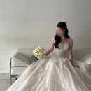 26년 보니타베일리 촬영드레스 후기 | 레이스풍성드레스 (변형O)