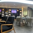 강남 탈모 병원 신사역 두피케어 메조타라피 모낭강화주사 레이저치료 후기