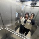 내가찜한닭앤드도시락 | 눈이 와요 펑펑