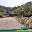 유복립 묘 이미지