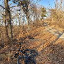 대곡농로 이미지