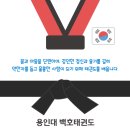 용인대 아이사랑 태권도장 이미지