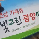 개운농장 | 서기네농장 토종돌배 산돌배 생돌배 후기🌿🍐