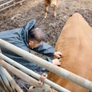 병인농장 이미지