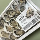 석화 이미지