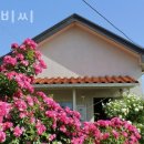 유금3리 이미지