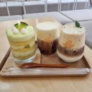 네스트 커피 (Nest Coffee)