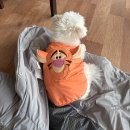 11545-12-25-22 | [2025/12月] 12월 네번째 일기 :: (25년 12월 22일 - 25년 12월 31일)