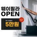 pet34로0581 | 서울 송파구 헬스장 아지트피티 사용자리뷰 영업시간 위치