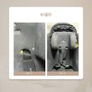바로세탁 | 수원 &#34;91클린&#34; 카시트 유모차 세탁 후기