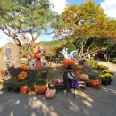 동산구이식당 이미지